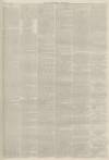 Lincolnshire Chronicle Friday 12 April 1878 Page 3