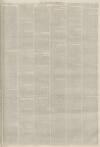 Lincolnshire Chronicle Friday 26 April 1878 Page 3