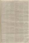 Lincolnshire Chronicle Friday 13 December 1878 Page 7