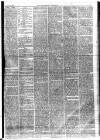 Lincolnshire Chronicle Friday 23 January 1880 Page 5