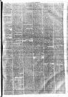 Lincolnshire Chronicle Friday 06 February 1880 Page 7