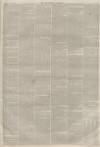 Lincolnshire Chronicle Friday 11 February 1881 Page 7