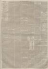 Lincolnshire Chronicle Tuesday 01 March 1881 Page 3