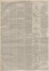 Lincolnshire Chronicle Friday 22 April 1881 Page 7