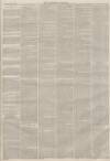 Lincolnshire Chronicle Friday 30 September 1881 Page 3