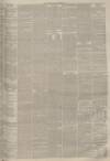 Lincolnshire Chronicle Tuesday 17 April 1883 Page 3