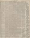 Lincolnshire Chronicle Friday 20 April 1883 Page 3