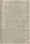 Lincolnshire Chronicle Tuesday 24 July 1883 Page 3