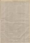 Lincolnshire Chronicle Friday 13 November 1885 Page 7