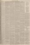 Lincolnshire Chronicle Tuesday 13 April 1886 Page 3