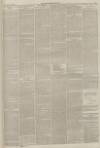 Lincolnshire Chronicle Tuesday 22 February 1887 Page 3