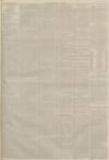 Lincolnshire Chronicle Tuesday 15 November 1887 Page 3