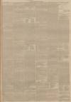 Lincolnshire Chronicle Tuesday 11 July 1893 Page 3