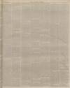 Lincolnshire Chronicle Friday 17 November 1893 Page 7