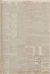 Lincolnshire Chronicle Tuesday 19 March 1895 Page 3