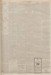 Lincolnshire Chronicle Tuesday 26 March 1895 Page 3