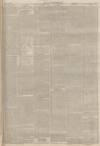 Lincolnshire Chronicle Tuesday 30 July 1895 Page 3