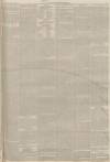 Lincolnshire Chronicle Tuesday 10 September 1895 Page 3