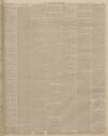 Lincolnshire Chronicle Friday 17 April 1896 Page 3