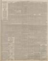 Lincolnshire Chronicle Tuesday 17 November 1896 Page 3