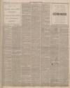 Lincolnshire Chronicle Friday 17 February 1899 Page 3