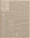 Lincolnshire Chronicle Tuesday 27 June 1899 Page 3