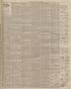 Lincolnshire Chronicle Friday 04 August 1899 Page 7