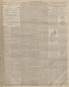 Lincolnshire Chronicle Friday 27 April 1900 Page 3