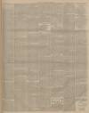 Lincolnshire Chronicle Tuesday 17 July 1900 Page 3