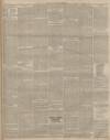 Lincolnshire Chronicle Tuesday 24 July 1900 Page 3