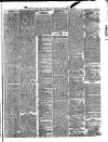 Bell's Life in London and Sporting Chronicle Saturday 13 February 1875 Page 7