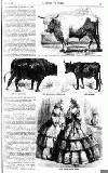 Illustrated Times Saturday 05 July 1856 Page 13