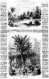 Illustrated Times Saturday 28 January 1860 Page 13