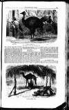 Illustrated Times Saturday 27 February 1869 Page 13