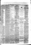 Berkshire Chronicle Saturday 03 April 1875 Page 3