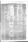 Berkshire Chronicle Saturday 01 May 1875 Page 3