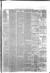 Berkshire Chronicle Saturday 29 May 1875 Page 7