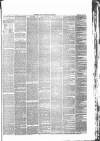 Devizes and Wiltshire Gazette Thursday 13 March 1879 Page 3