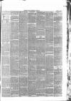 Devizes and Wiltshire Gazette Thursday 12 June 1879 Page 3