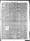Devizes and Wiltshire Gazette Thursday 21 April 1881 Page 3