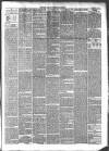 Devizes and Wiltshire Gazette Thursday 06 April 1882 Page 3