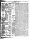 Carlisle Journal Friday 11 August 1882 Page 4
