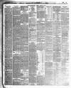 Carlisle Journal Tuesday 15 January 1884 Page 4