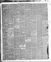 Carlisle Journal Friday 03 October 1884 Page 6