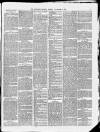 Carlisle Patriot Friday 02 November 1877 Page 3