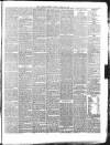 Carlisle Patriot Friday 20 March 1885 Page 5