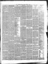 Carlisle Patriot Friday 17 April 1885 Page 5