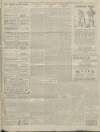 Reading Mercury Saturday 03 February 1917 Page 3