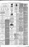 Lichfield Mercury Friday 06 September 1878 Page 3