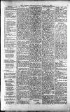 Lichfield Mercury Friday 02 January 1880 Page 3
